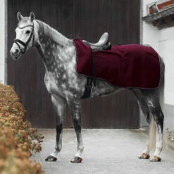 Horze Kiel Fleece Ausreitdecke 32 Horze Kiel Fleece Ausreitdecke -Weatherbeeta Shop 24368 DRE 5