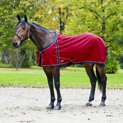 FT Sommerdecke, Enstex -Weatherbeeta Shop 24370 BL B 2