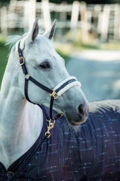 Horze Fairfax UV-Schutz Decke -Weatherbeeta Shop 24377 vdb 03