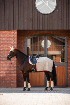 B Vertigo Amory Nierendecke 7 B Vertigo Amory Nierendecke -Weatherbeeta Shop 24389 WTBE 3