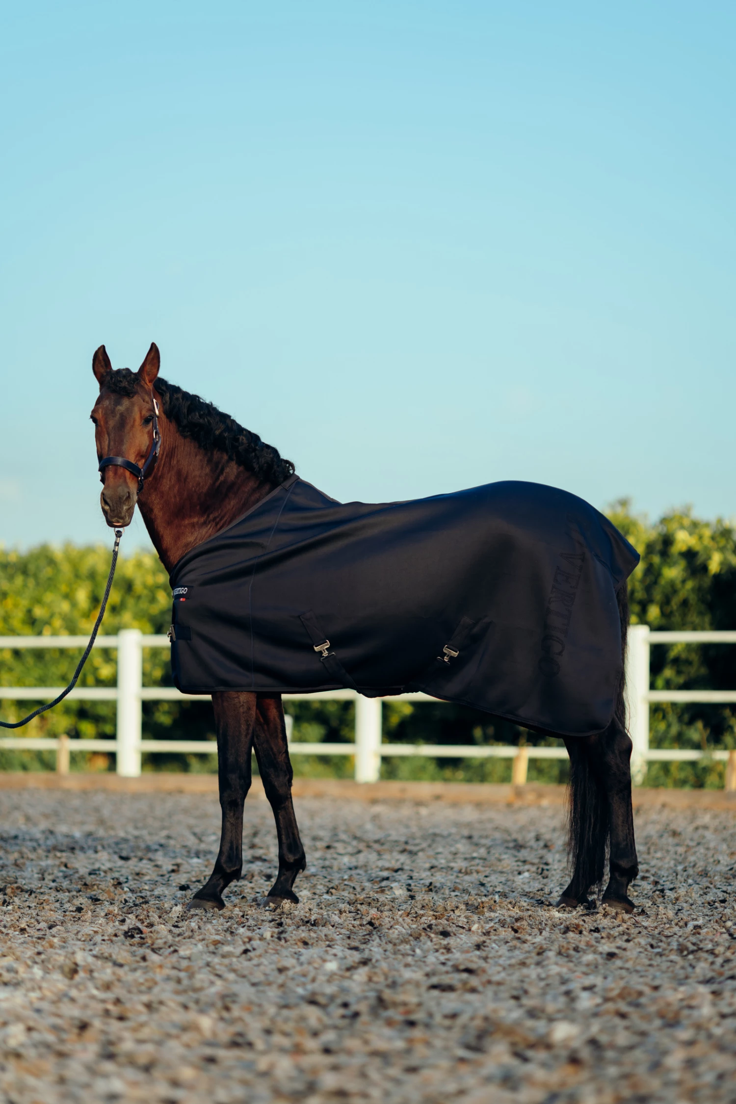 B Vertigo Drew Stall-/Transportdecke 8 B Vertigo Drew Stall-/Transportdecke – Bild 6