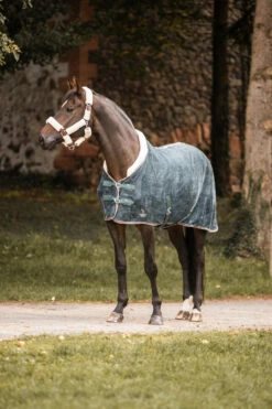 Horze Leigton Teens Collection Fleece Abschwitzdecke Mit Kunstfellkragen 9 Horze Leigton Teens Collection Fleece Abschwitzdecke Mit Kunstfellkragen -Weatherbeeta Shop 24442 udgr 04