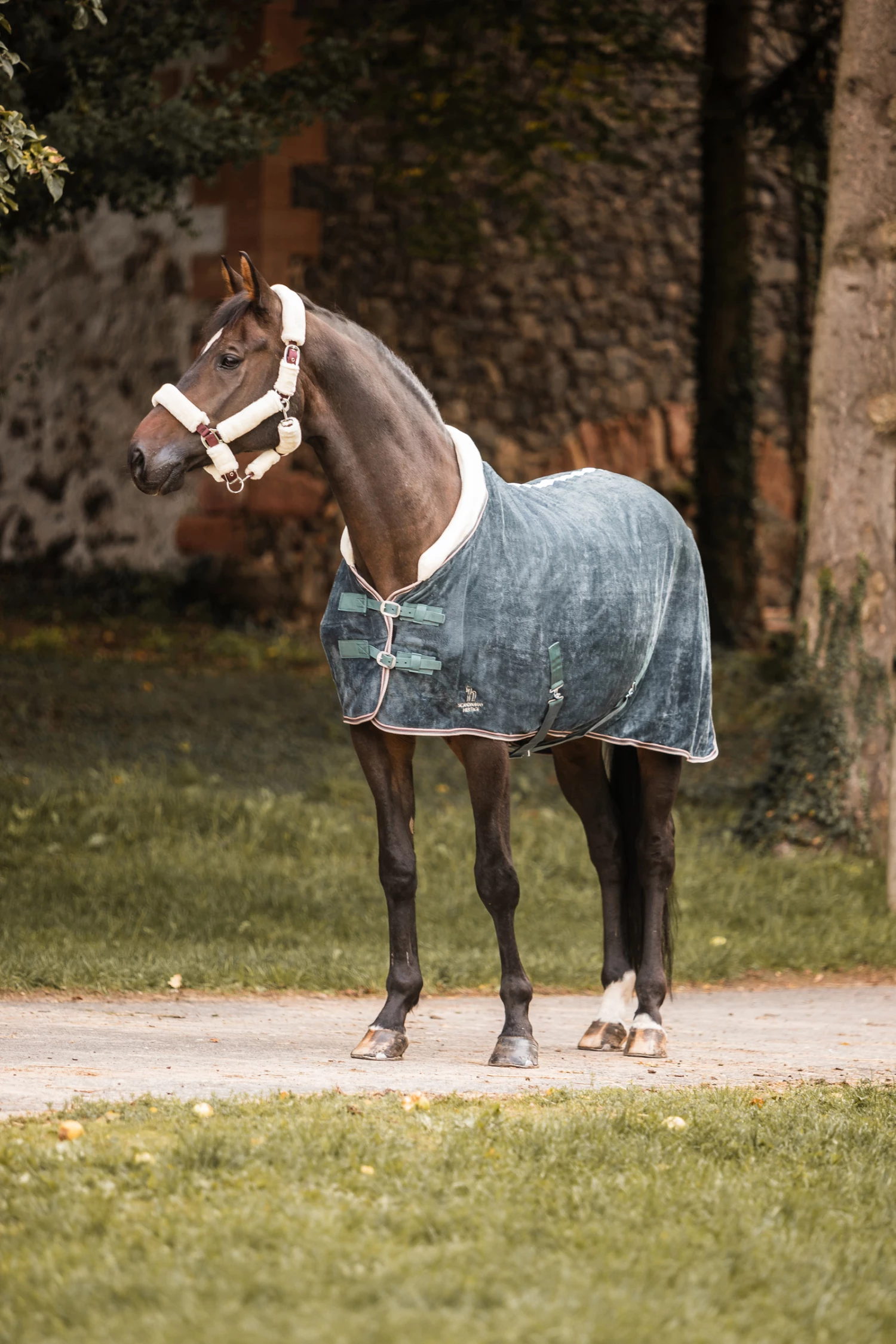 Horze Leigton Teens Collection Fleece Abschwitzdecke Mit Kunstfellkragen 6 Horze Leigton Teens Collection Fleece Abschwitzdecke Mit Kunstfellkragen – Bild 4