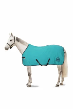 Horze Magic Carousel Pony Fleece Abschwitzdecke 23 Horze Magic Carousel Pony Fleece Abschwitzdecke -Weatherbeeta Shop 24443 556 01