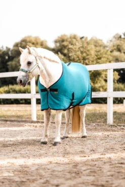 Horze Magic Carousel Pony Fleece Abschwitzdecke 29 Horze Magic Carousel Pony Fleece Abschwitzdecke -Weatherbeeta Shop 24443 556 07