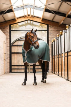 B Vertigo Evolve Fleece-Kühldecke 15 B Vertigo Evolve Fleece-Kühldecke -Weatherbeeta Shop 24445 681 07