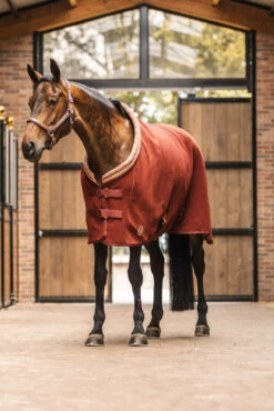 Horze Terrazzo Double Bonded Fleece Abschwitzdecke -Weatherbeeta Shop 24448 281 07