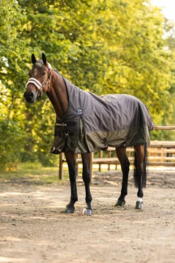 Horze Avalanche 1200D Winterdecke Mit Hohem Hals, 300g -Weatherbeeta Shop 24565 784 08