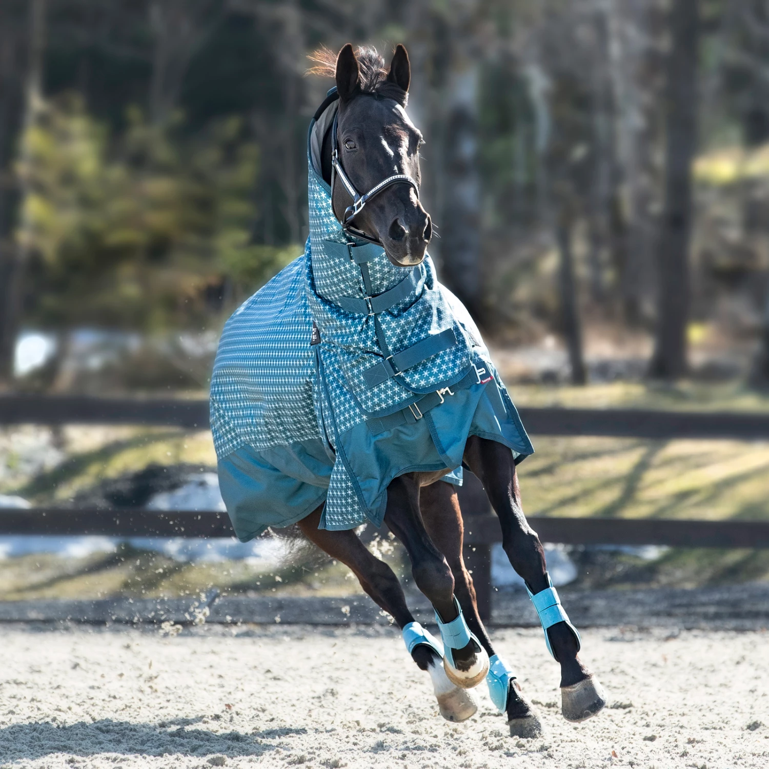 Horze Avalanche Winterdecke Combo 1200D, 350g 3 Horze Avalanche Winterdecke Combo 1200D, 350g