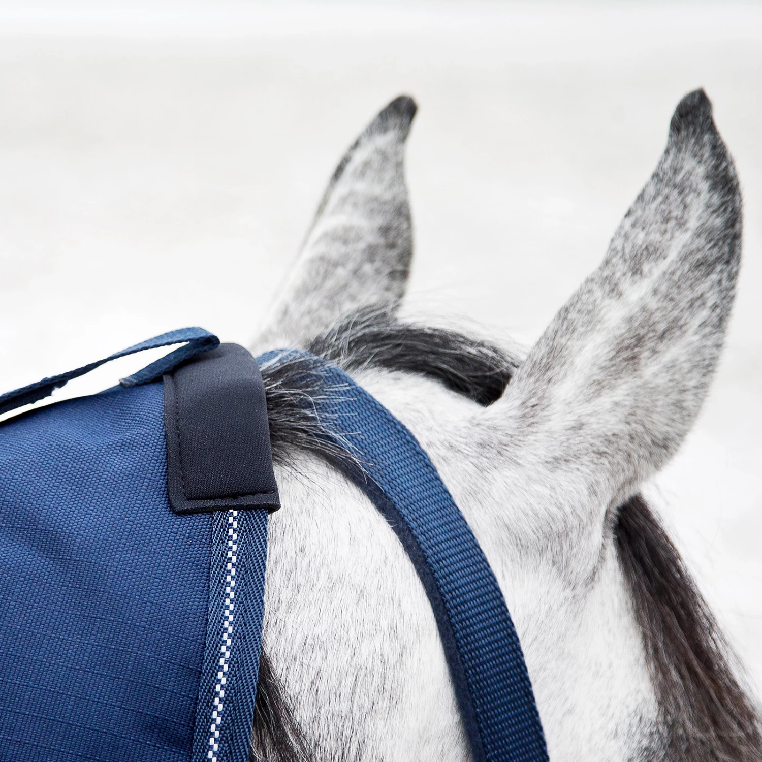 Horze Avalanche Regendecke Combo 1200D, 150g 21 Horze Avalanche Regendecke Combo 1200D, 150g – Bild 19