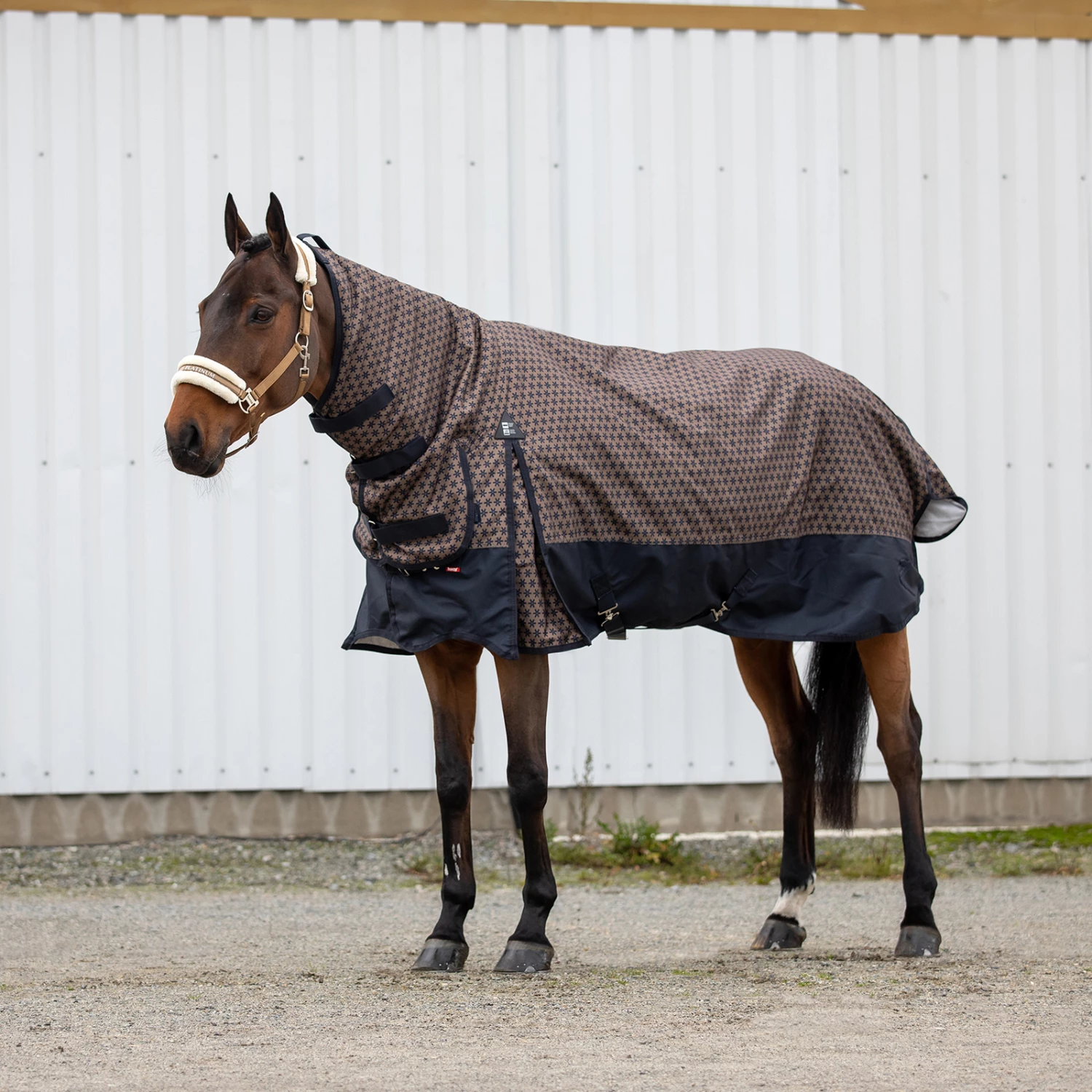 Horze Avalanche Regendecke Combo 1200D, 150g 5 Horze Avalanche Regendecke Combo 1200D, 150g – Bild 3