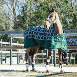 Horze Nevada Winterdecke, 400g 26 Horze Nevada Winterdecke, 400g -Weatherbeeta Shop 24571 BTGR VDB 2