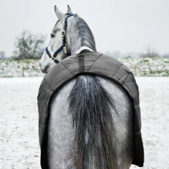 Horze Nevada Stalldecke, 200g 19 Horze Nevada Stalldecke, 200g -Weatherbeeta Shop 24572 BL 6