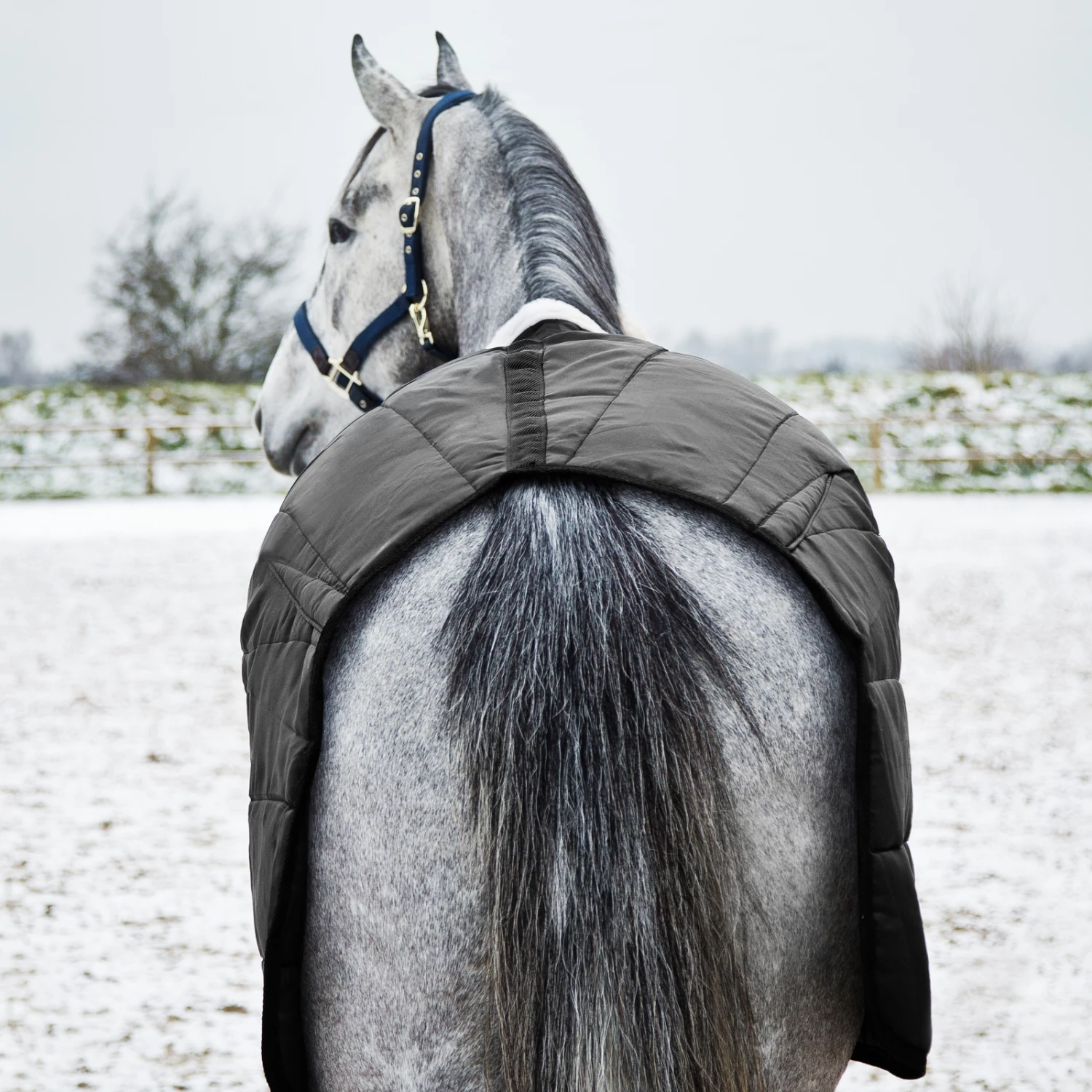 Horze Nevada Stalldecke, 200g 8 Horze Nevada Stalldecke, 200g – Bild 6