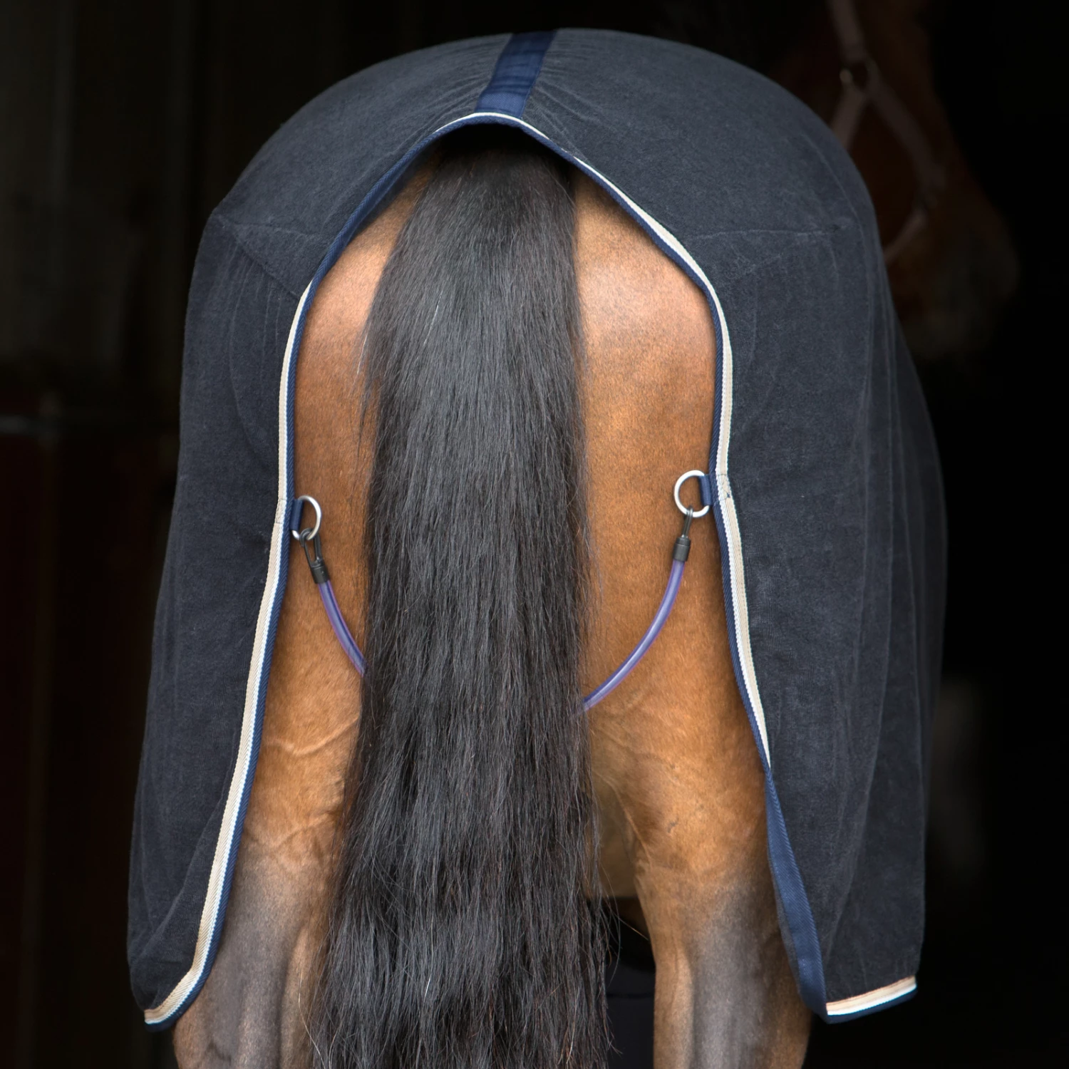 B Vertigo Walter Frottee Abschwitzdecke 6 B Vertigo Walter Frottee Abschwitzdecke – Bild 4