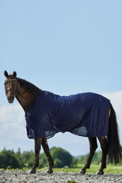 Horze Turin Netz Abschwitzdecke 9 Horze Turin Netz Abschwitzdecke -Weatherbeeta Shop 24659 db 04