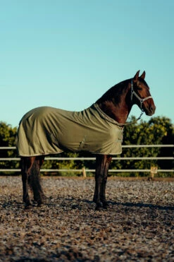 Horze Munich Sommerdecke Mit Metall Detail 16 Horze Munich Sommerdecke Mit Metall Detail -Weatherbeeta Shop 24682 ovgr 05