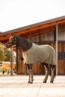 B Vertigo Wellington Abschwitzdecke 13 B Vertigo Wellington Abschwitzdecke -Weatherbeeta Shop 24688 630 06