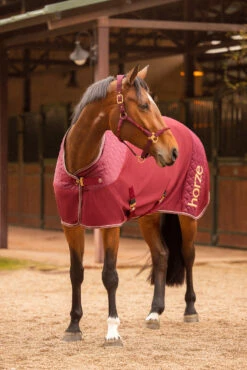 Horze Kenya Waffle Abschwitzdecke 13 Horze Kenya Waffle Abschwitzdecke -Weatherbeeta Shop 24694 251 07