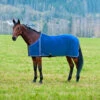Finntack Abschwitzdecke Aus Fleece Mit Gewebefütterung. -Weatherbeeta Shop 24752 B B 1