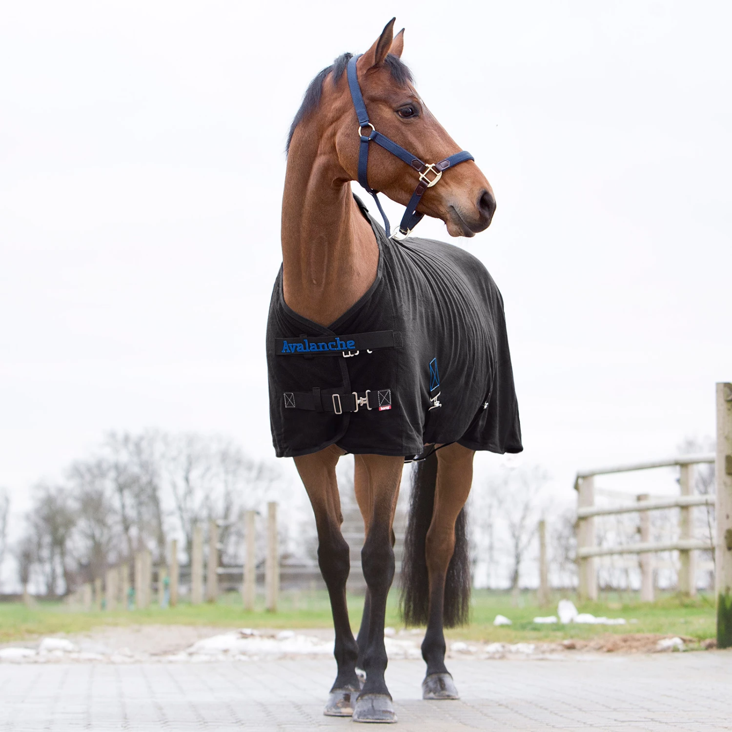 Horze Avalanche Fleece Abschwitzdecke 3 Horze Avalanche Fleece Abschwitzdecke