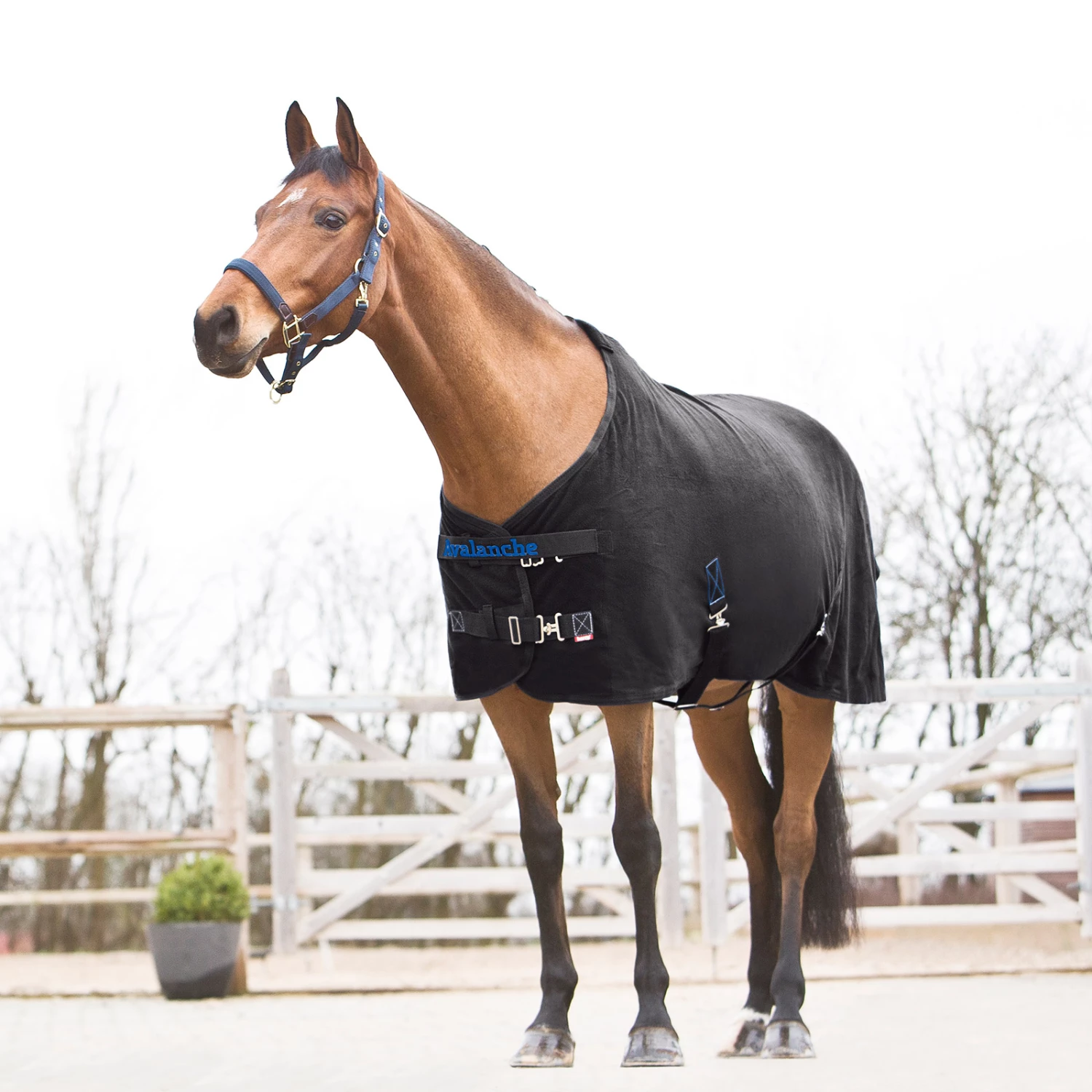 Horze Avalanche Fleece Abschwitzdecke 4 Horze Avalanche Fleece Abschwitzdecke – Bild 2