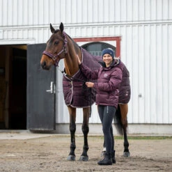 B Vertigo Corey Stalldecke, 250g -Weatherbeeta Shop 24793 WDRE 1