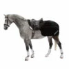 Back On Track Supreme Ausreitdecke 2 Back On Track Supreme Ausreitdecke -Weatherbeeta Shop 24801 BL 1