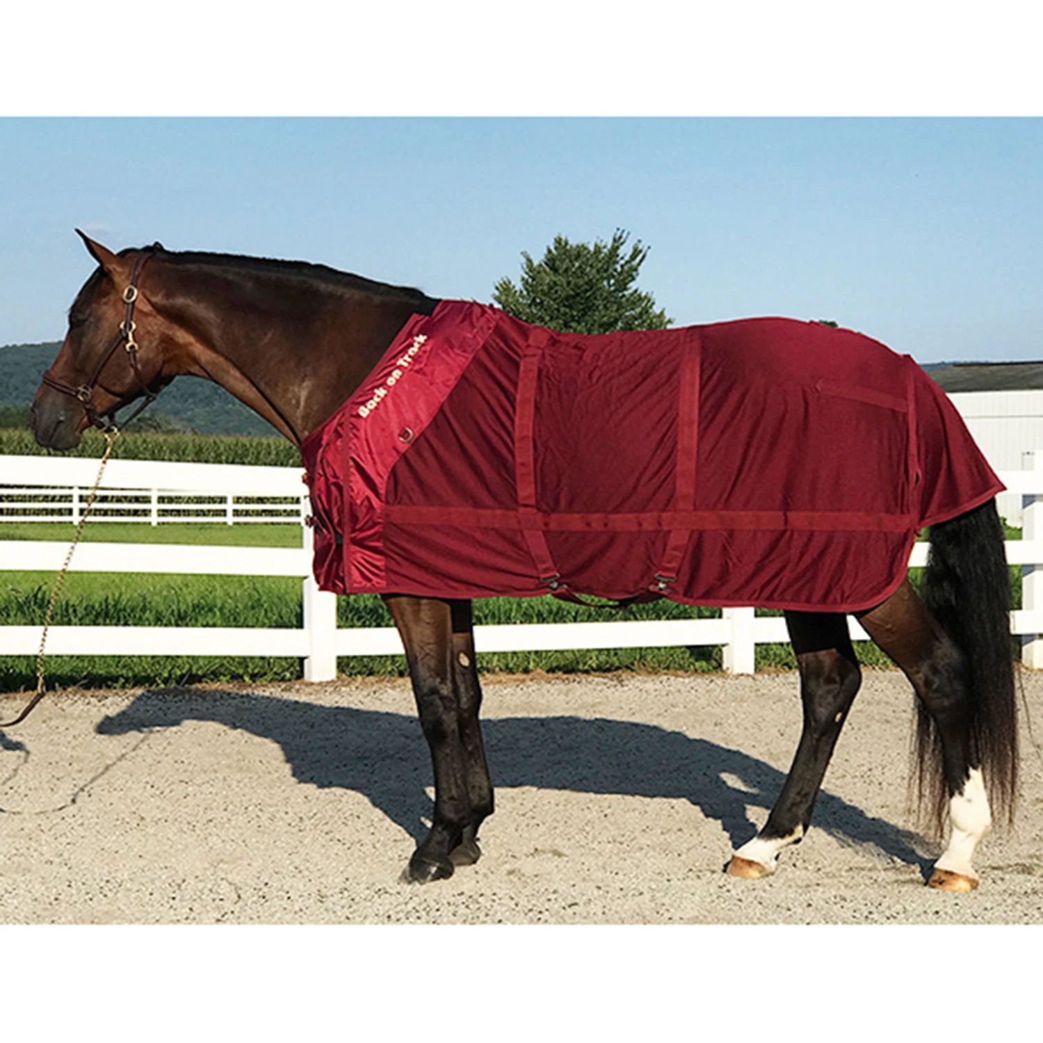 Back On Track Netzdecke 6 Back On Track Netzdecke – Bild 4