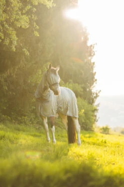 Horze La Pampa Fliegenschutz Set 33 Horze La Pampa Fliegenschutz Set -Weatherbeeta Shop 24817 g 12