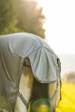 Horze La Pampa Fliegenschutz Set 37 Horze La Pampa Fliegenschutz Set -Weatherbeeta Shop 24817 g 16