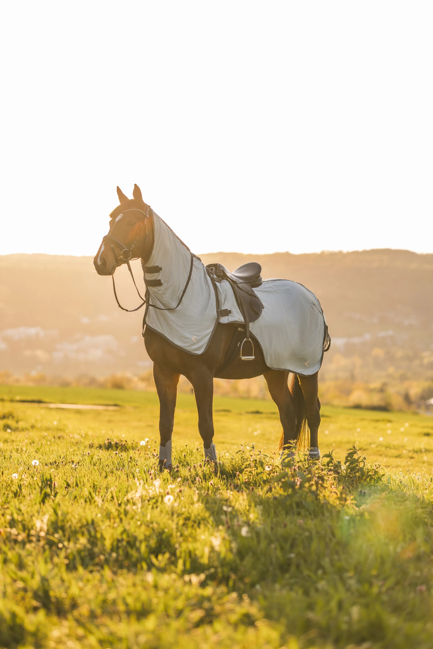 Horze Eira Fliegen-Ausreitdecke Mit Abnehmbarem Halsteil 12 Horze Eira Fliegen-Ausreitdecke Mit Abnehmbarem Halsteil – Bild 10