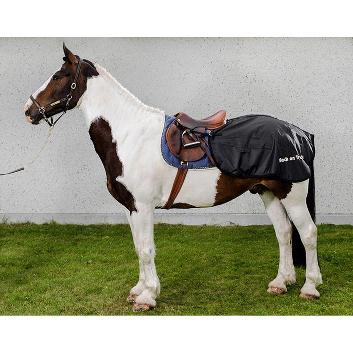 Back On Track Nierendecke 3 Back On Track Nierendecke