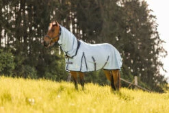 Horze Freja Fliegendecke Mit Halsteil 30 Horze Freja Fliegendecke Mit Halsteil -Weatherbeeta Shop 24830 lb 12