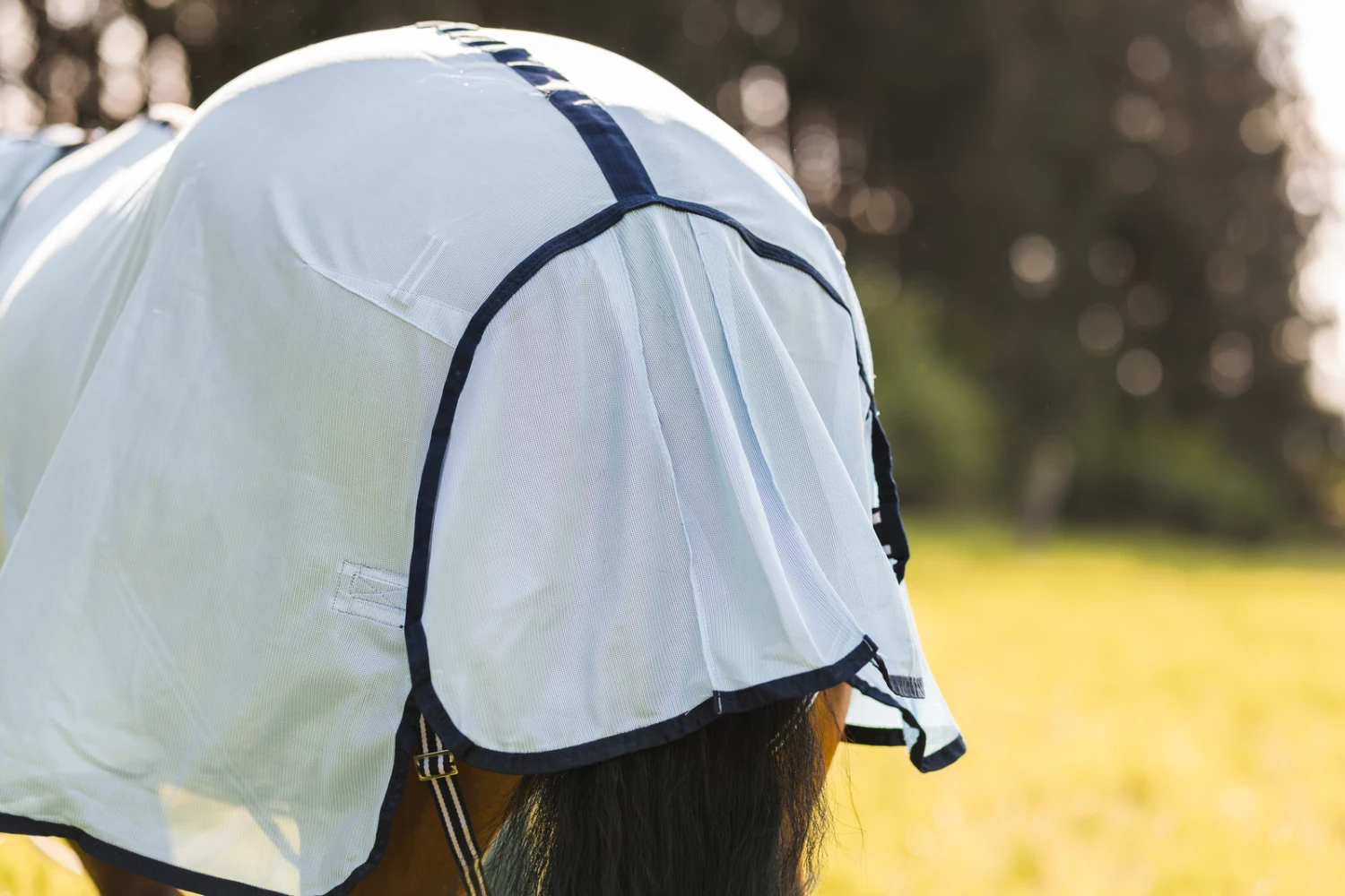 Horze Freja Fliegendecke Mit Halsteil 19 Horze Freja Fliegendecke Mit Halsteil – Bild 17