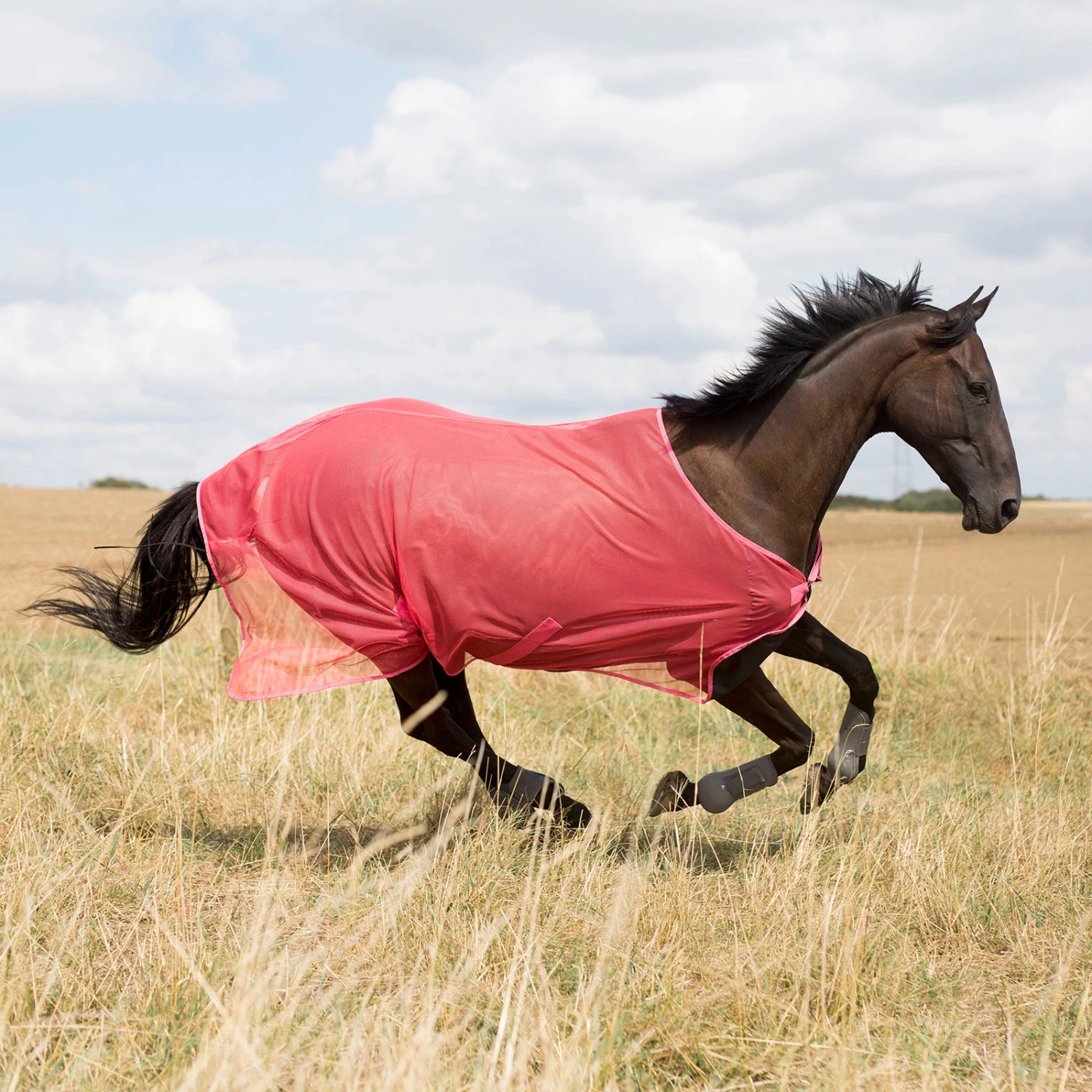 Horze Orleans Fliegendecke 15 Horze Orleans Fliegendecke – Bild 13