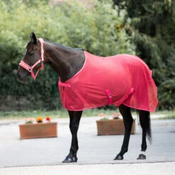 Horze Orleans Fliegendecke 38 Horze Orleans Fliegendecke -Weatherbeeta Shop 24835 SCPI 5