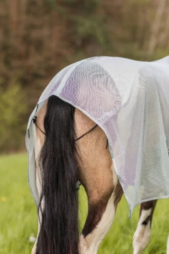 Horze Orleans Fliegendecke 30 Horze Orleans Fliegendecke -Weatherbeeta Shop 24835 hrg 09