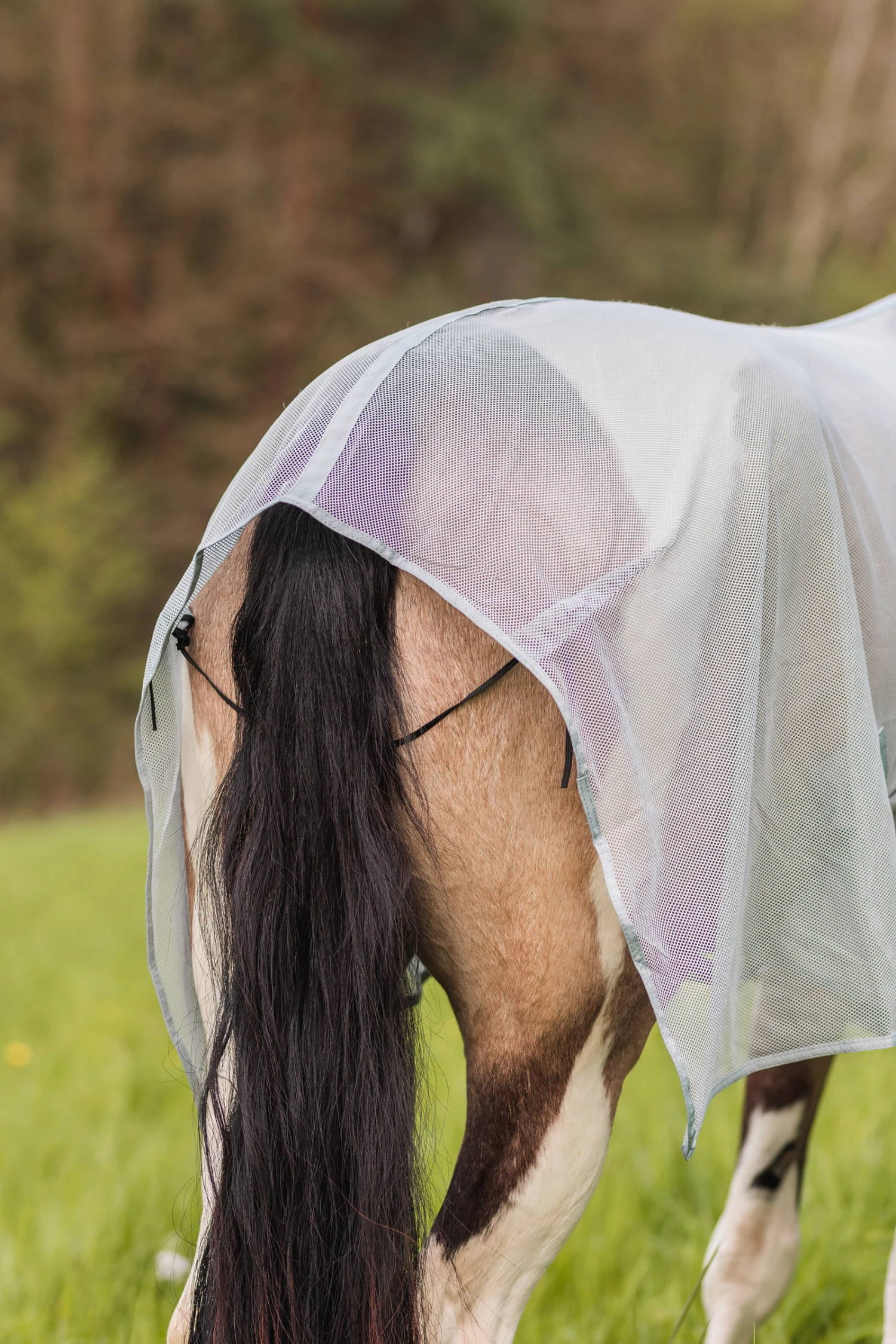 Horze Orleans Fliegendecke 11 Horze Orleans Fliegendecke – Bild 9