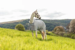 Horze Orleans Fliegendecke 31 Horze Orleans Fliegendecke -Weatherbeeta Shop 24835 hrg 10