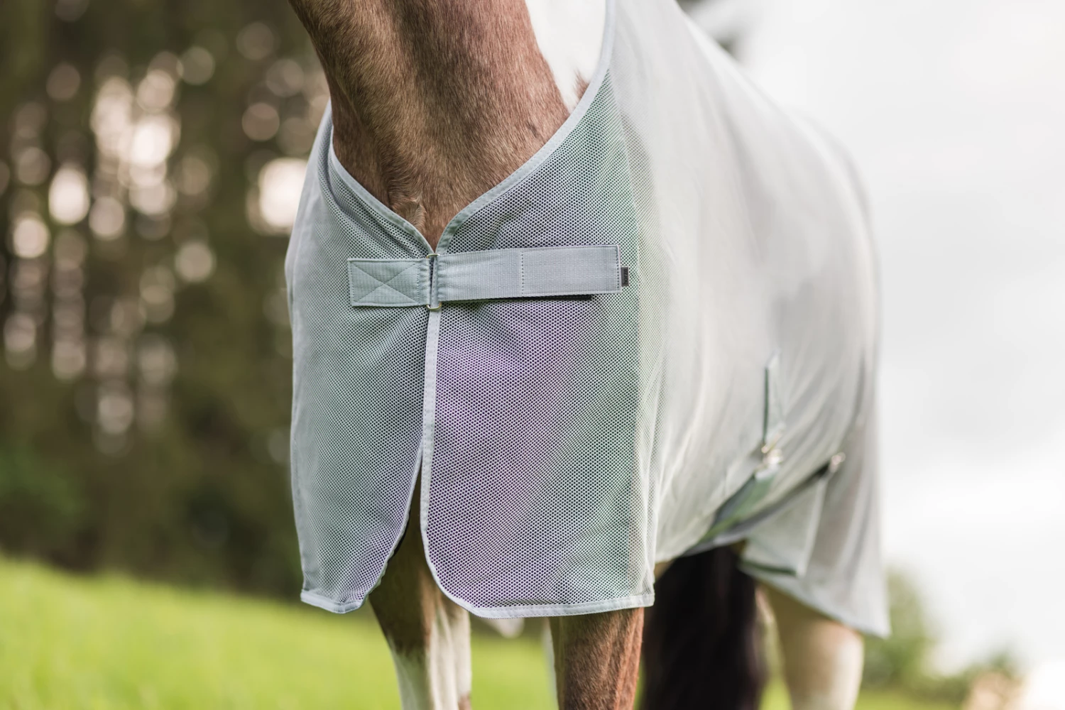 Horze Orleans Fliegendecke 13 Horze Orleans Fliegendecke – Bild 11