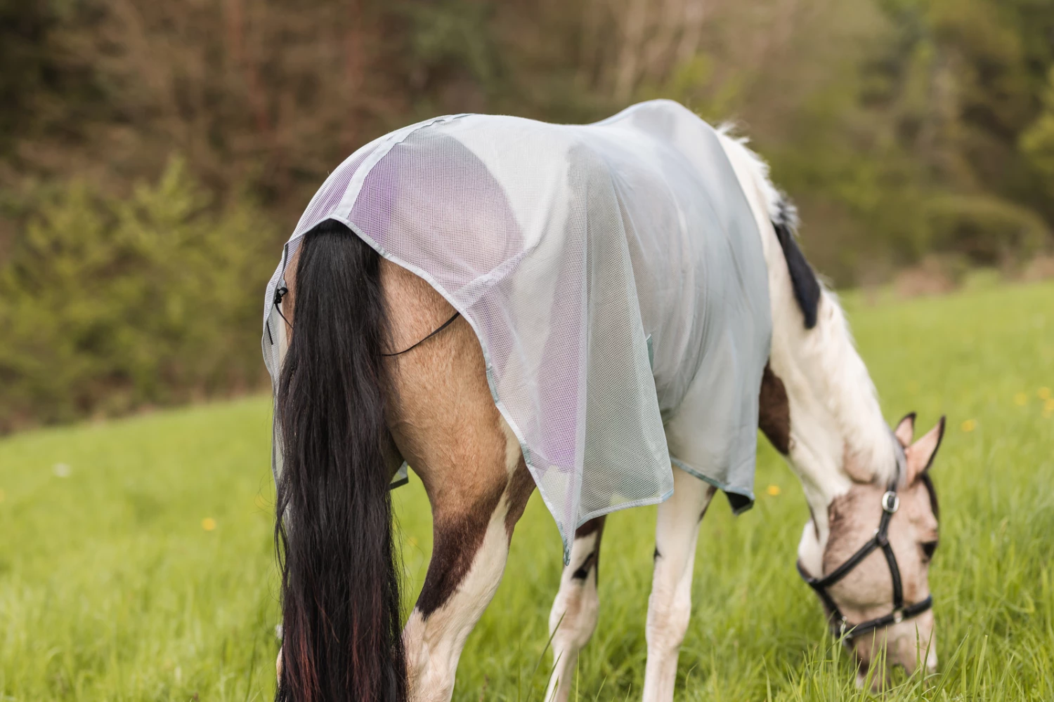 Horze Orleans Fliegendecke 14 Horze Orleans Fliegendecke – Bild 12