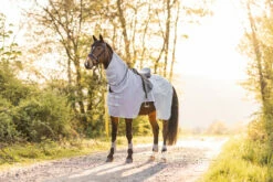 Horze Orleans Fliegen-Ausreitdecke 30 Horze Orleans Fliegen-Ausreitdecke -Weatherbeeta Shop 24836 hrg 09