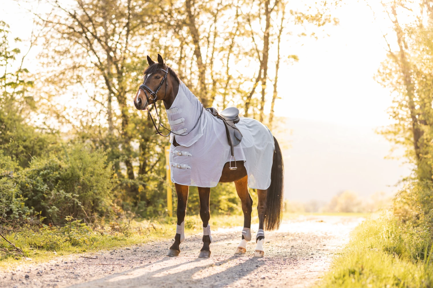 Horze Orleans Fliegen-Ausreitdecke 11 Horze Orleans Fliegen-Ausreitdecke – Bild 9