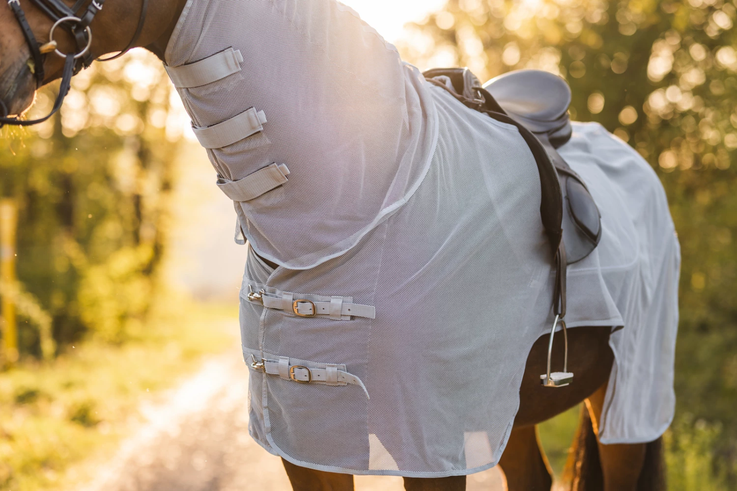 Horze Orleans Fliegen-Ausreitdecke 12 Horze Orleans Fliegen-Ausreitdecke – Bild 10