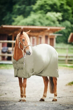 Horze Monster Pony Fleecedecke -Weatherbeeta Shop 24842 GGR 4