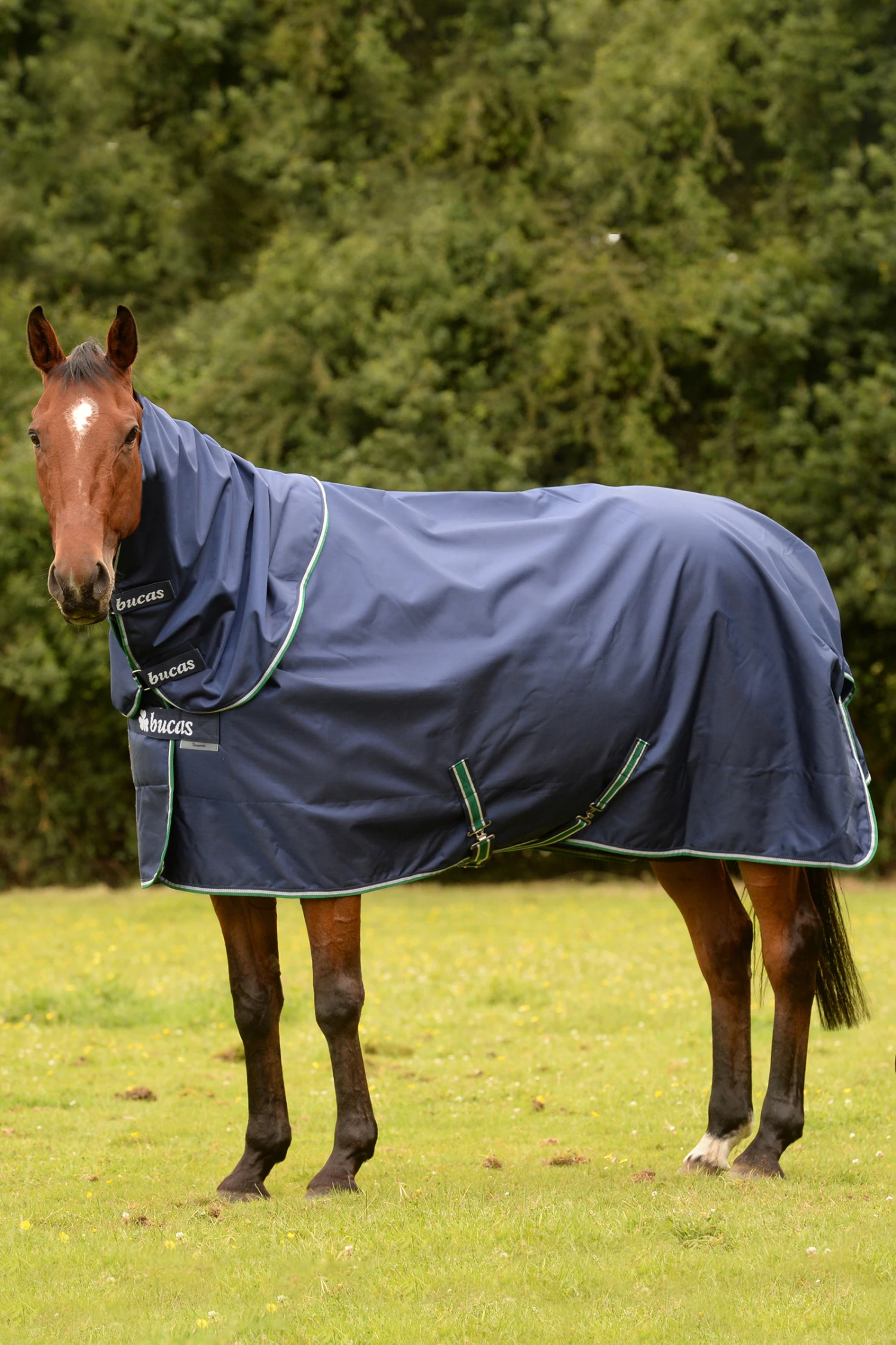 Bucas Smartex Combi Neck, 0g 3 Bucas Smartex Combi Neck, 0g