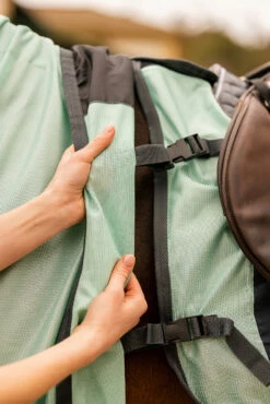 Horze Paso Fino Fliegenausreitdecke Mit Abnehmbarem Halsteil Und UV Schutz 25 Horze Paso Fino Fliegenausreitdecke Mit Abnehmbarem Halsteil Und UV Schutz -Weatherbeeta Shop 24896 616 10