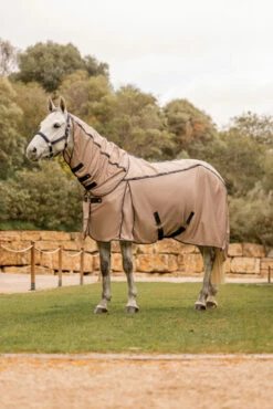 B Vertigo Combo Fly Rug With Detachable Neck And UV Protection -Weatherbeeta Shop 24899 726 08