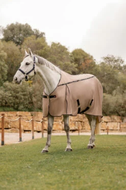 B Vertigo Combo Fly Rug With Detachable Neck And UV Protection -Weatherbeeta Shop 24899 726 09